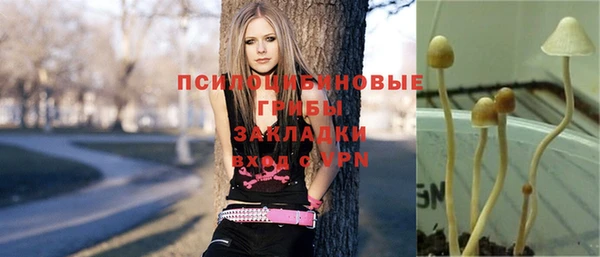 спайс Беломорск