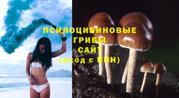 спайс Беломорск