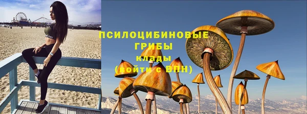 прущие крисы Богородск