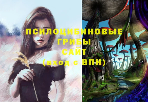 марки nbome Белокуриха