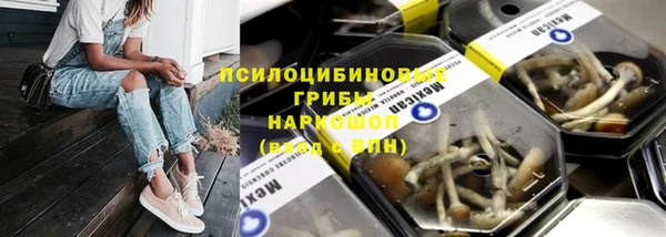 марки nbome Белокуриха